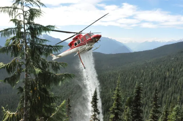 Wildcat Helicopters Inc.