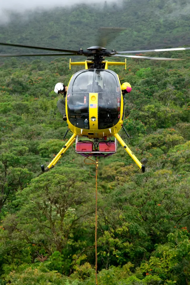 Photo: Windward Aviation, from the company website