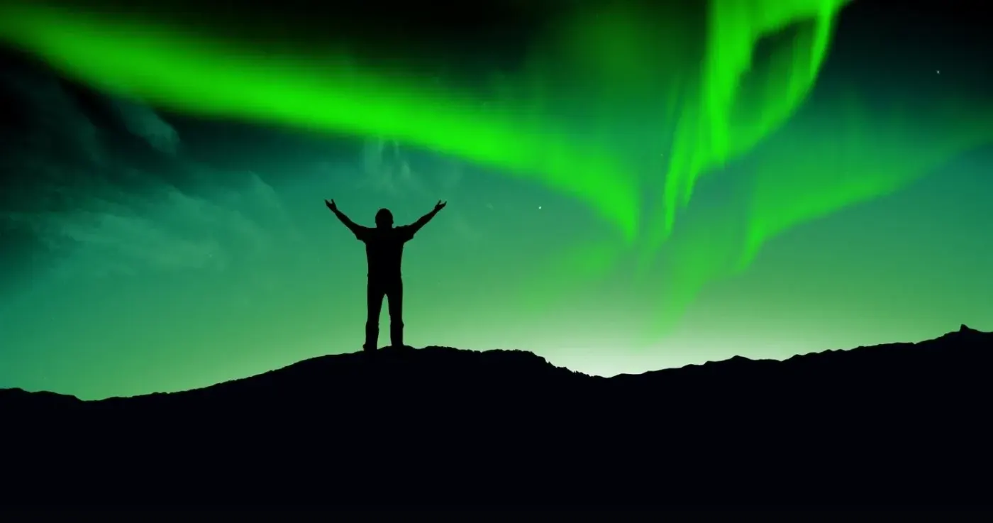 Photo: World travel network, from the company website