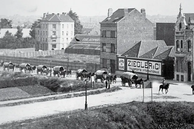 Photo: Ziegler South Africa, from the company website