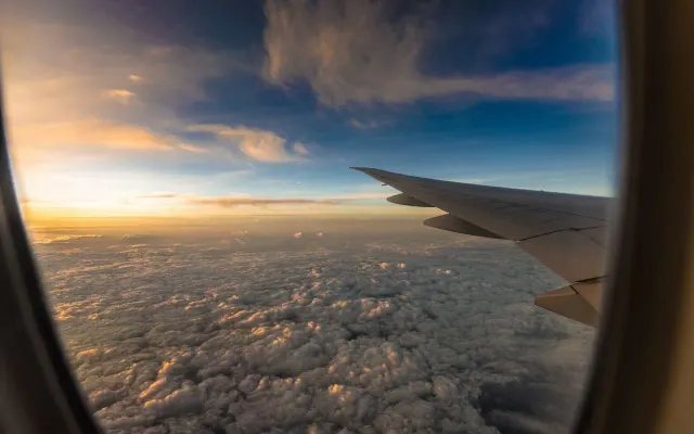 Empty Leg: photo 3