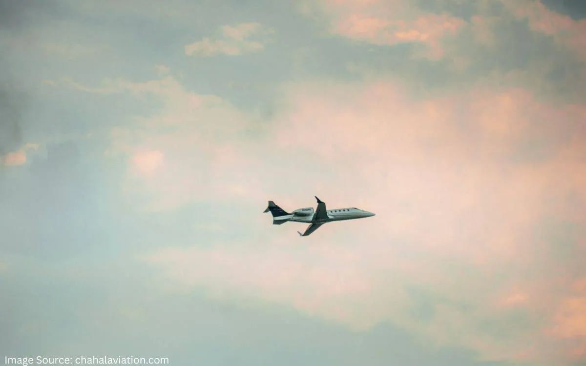 Chahal Aviation: photo 2