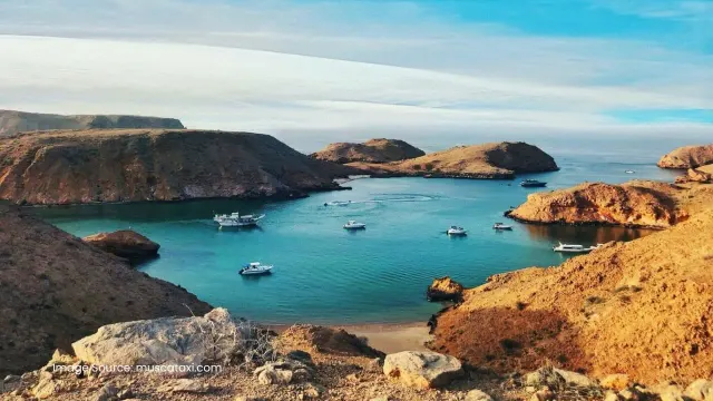Bahwan Travels: photo 3