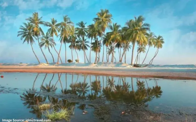 IDMC Travel: photo 4