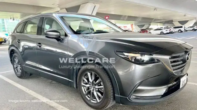 Wellcare Limousines Qatar: photo 3