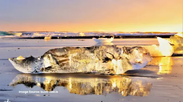 BusTravel Iceland: photo 1