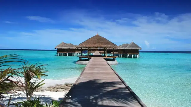 May Premium Travel: photo 5