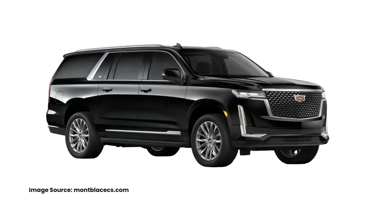 Mont Blac Executive Car Service: photo 2