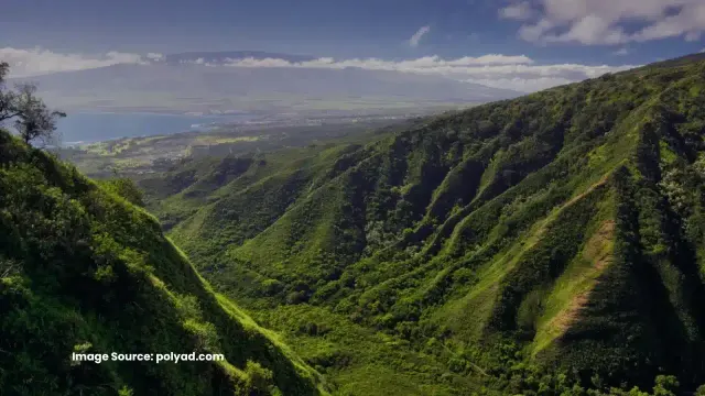 Polynesian Adventure Tours: photo 3