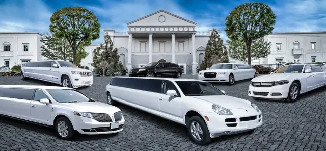 Sonic D Limousine: photo 4