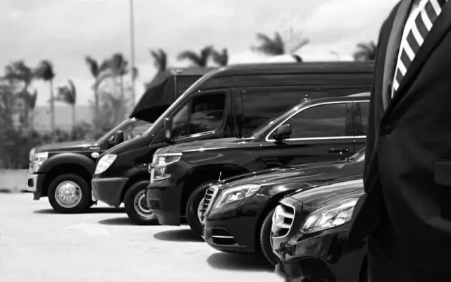 Daisy Limousine Service: photo 1