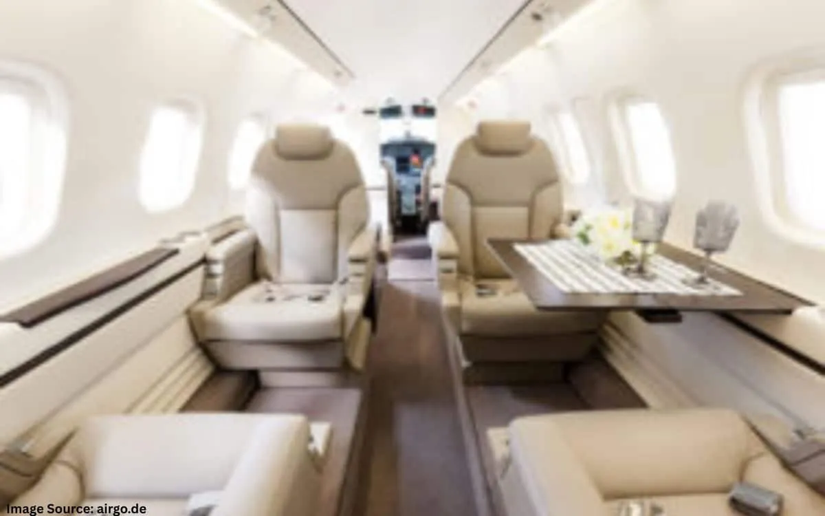AirGO Private Airline: photo 4