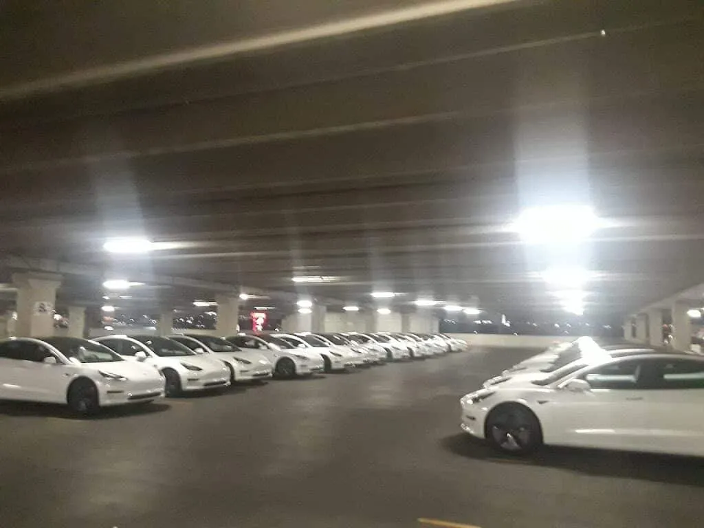 Presidential Limousine: photo 4