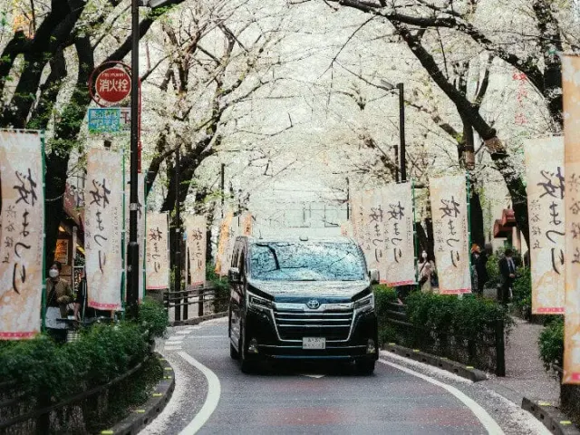 THE LUXURY FLEET Co., Ltd.: photo 4