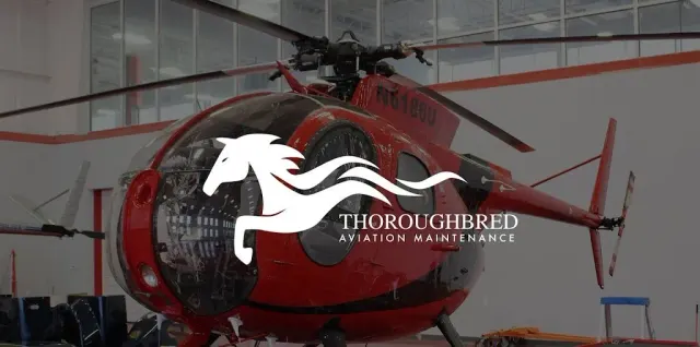 Thoroughbred Aviation: photo 1