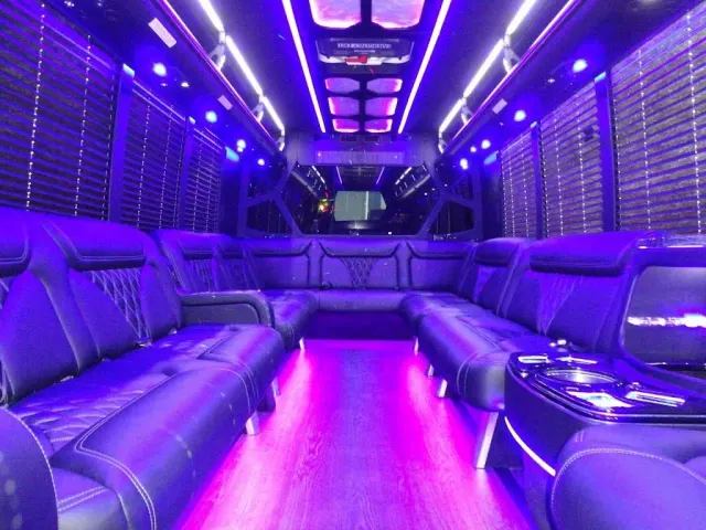 Lux Dryve Executive Car Service: photo 2