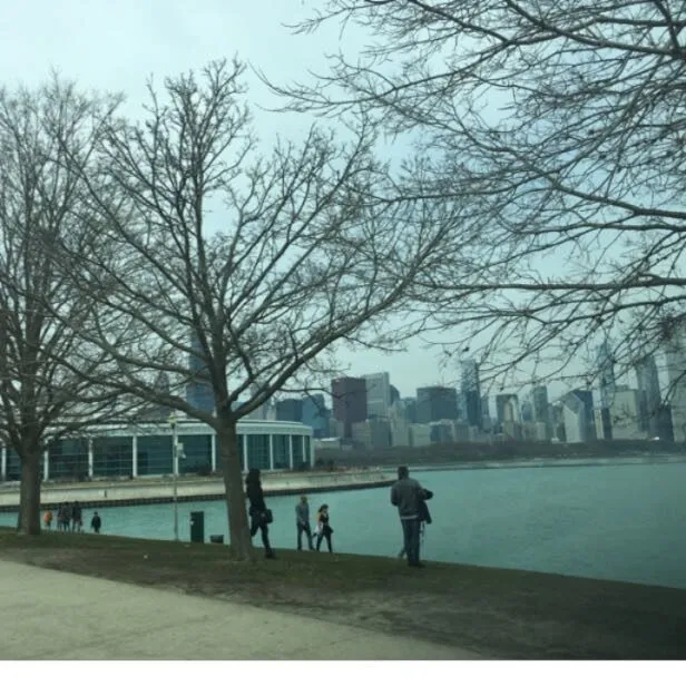 Chicago Limos Inn: photo 3