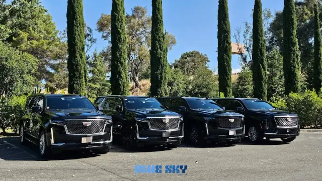 Blue Sky - Executive Black Car Service San Francisco: photo 3