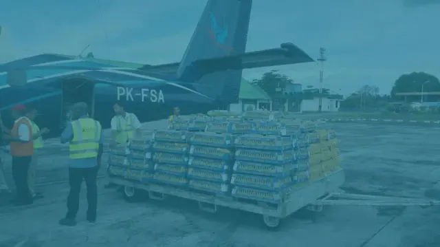SKYCAB Aviation: photo 4