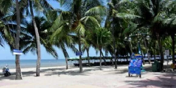 Pattaya Transfer: photo 9