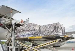 Swissport Bulgaria photo 2
