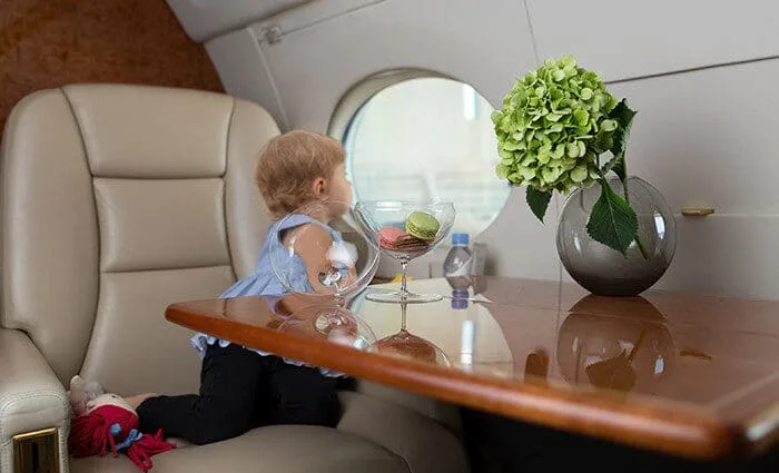 Avcon Jet AG: photo 4