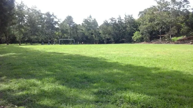 Coopesa photo 4