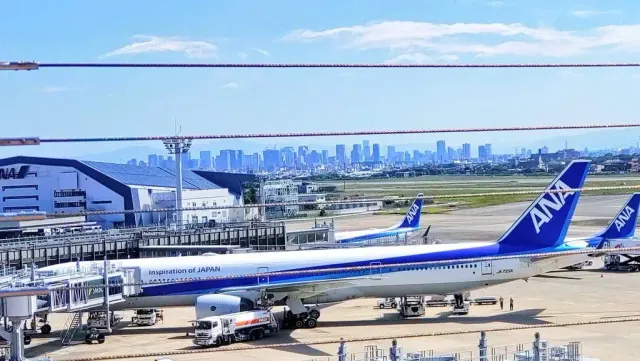 Osaka Itami Airport: photo 3