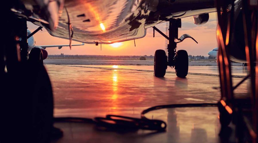 Industry Pioneers: The Growing Adoption of SAFs in Global Aviation (2024)