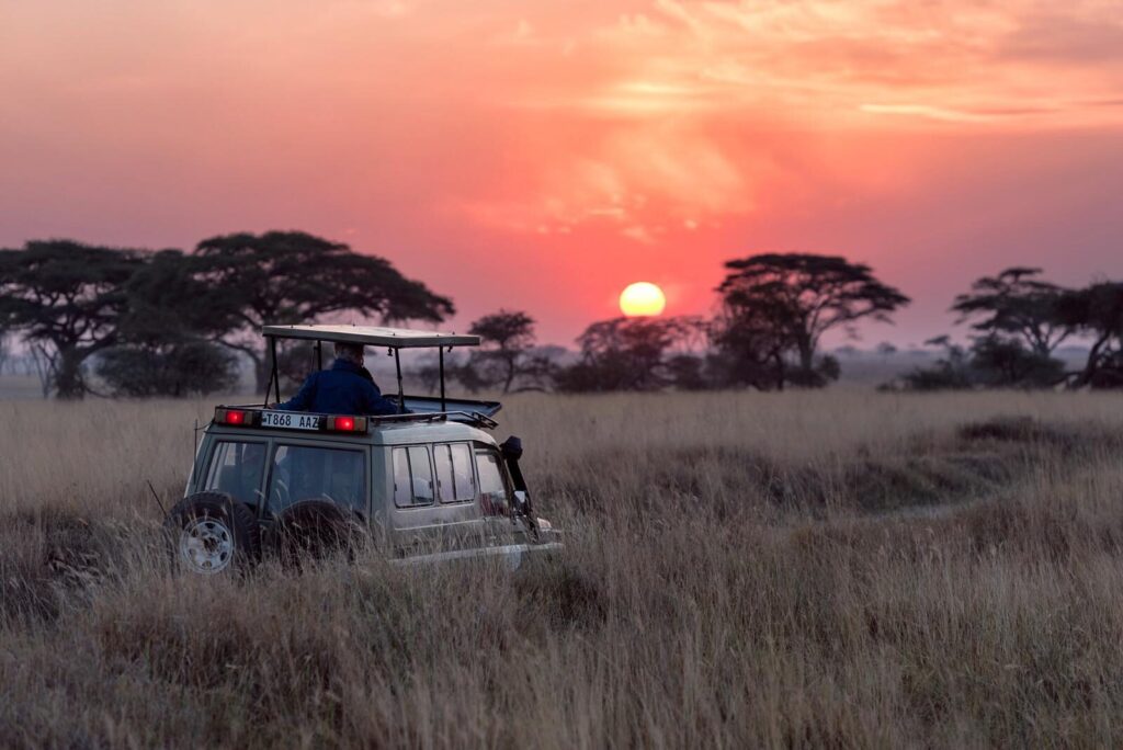 100+ Luxury Private Jet Destinations: The Complete 2025 Guide 21 African Safari Destinations